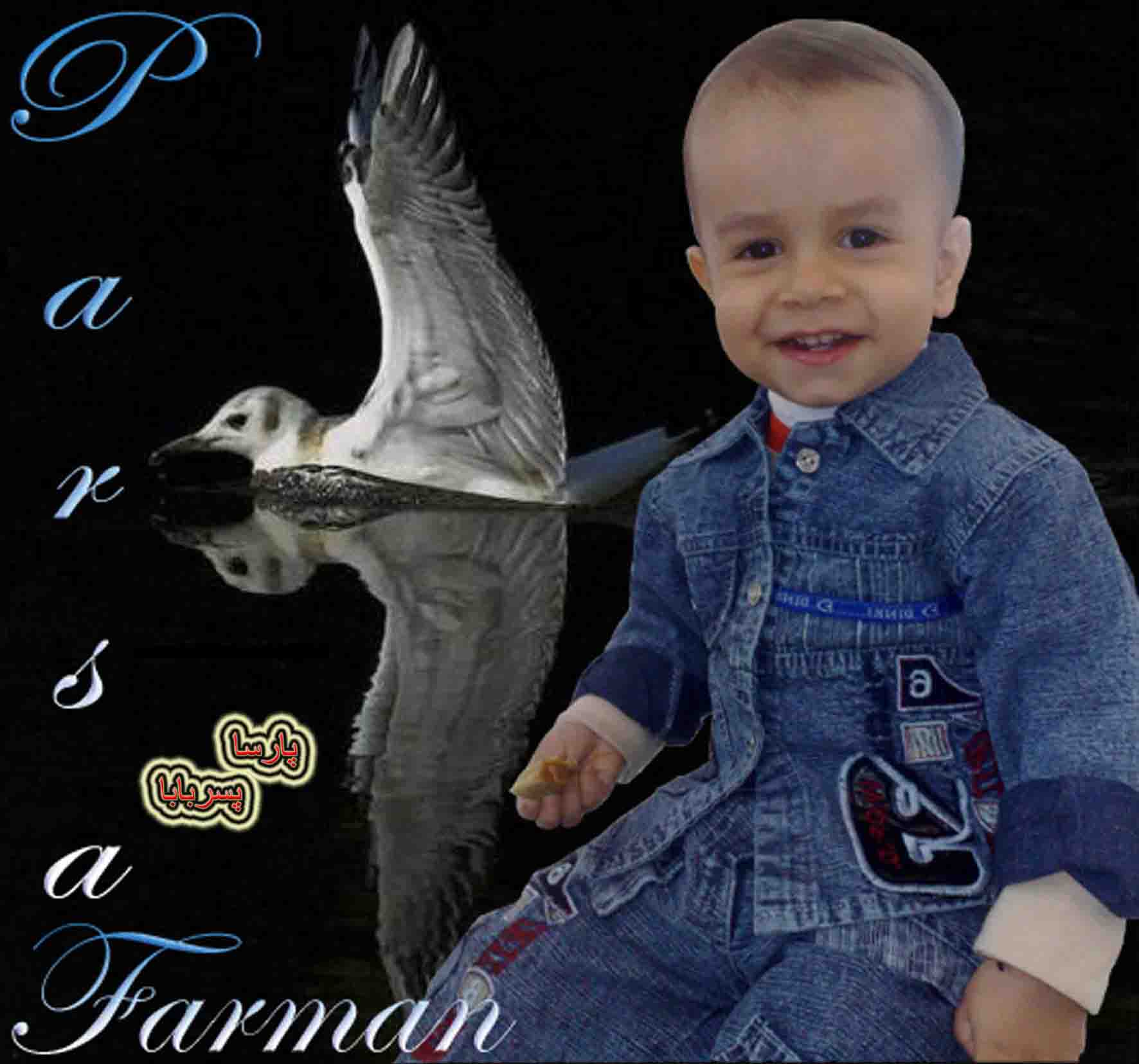 مجتبی