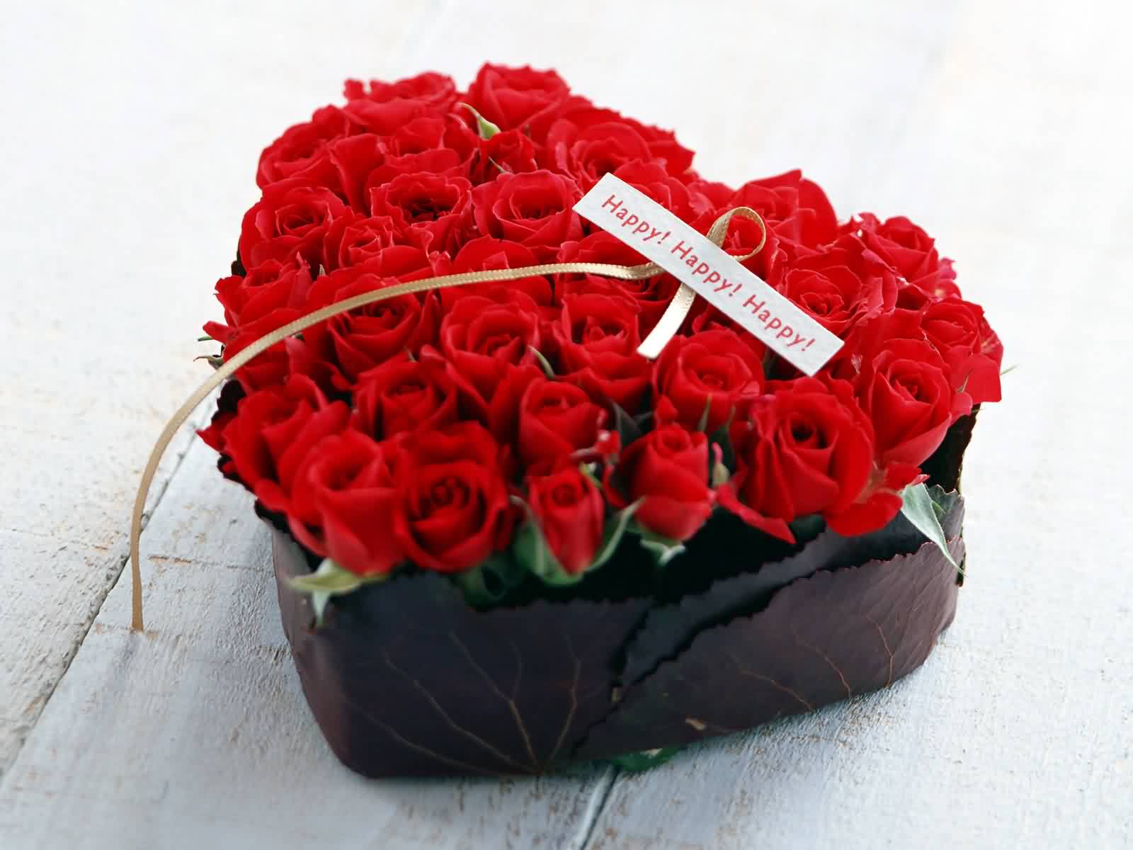 مرتضی باقری