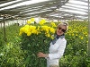 تارا رشیدی