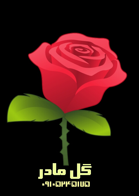 علیرضا سرلک