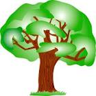 سیاوش اسماعیلی