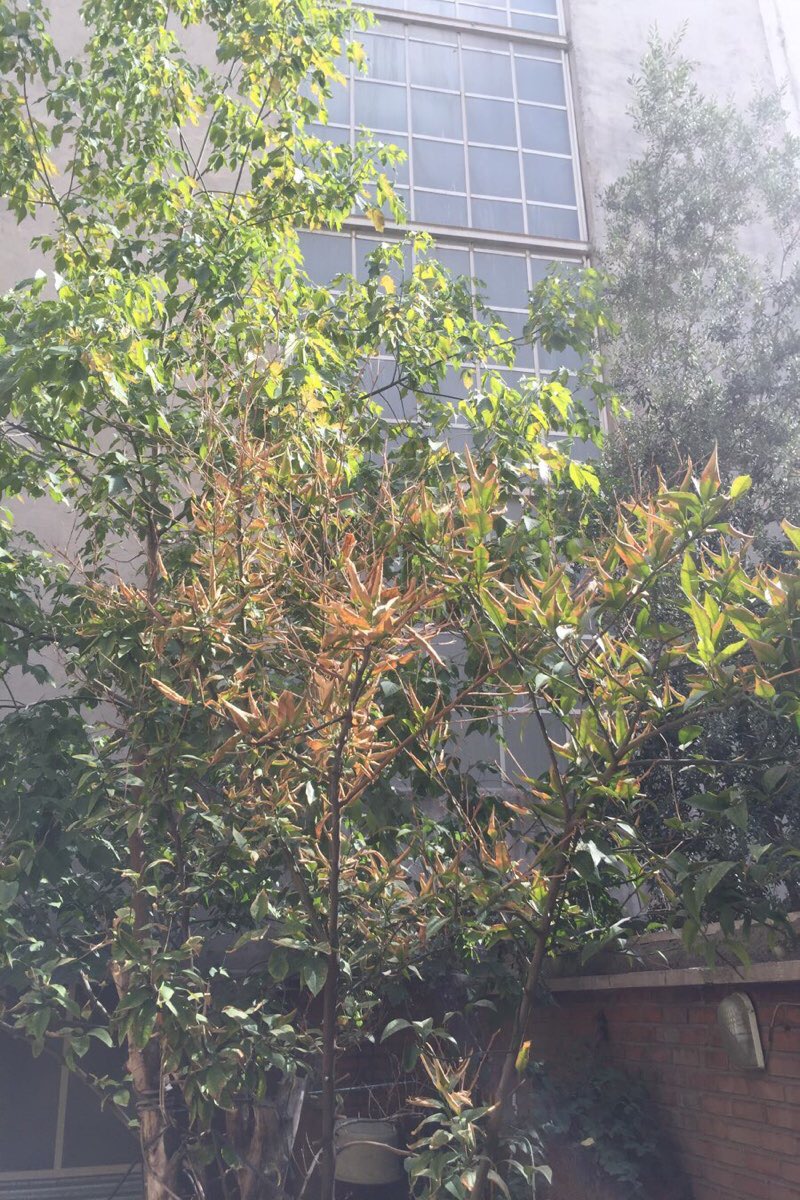 تصویر ارسالی کاربر