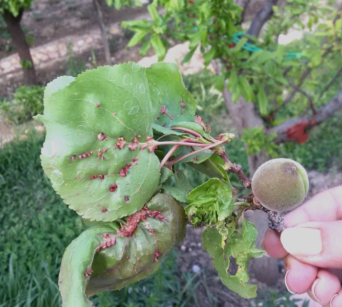 تصویر ارسالی کاربر