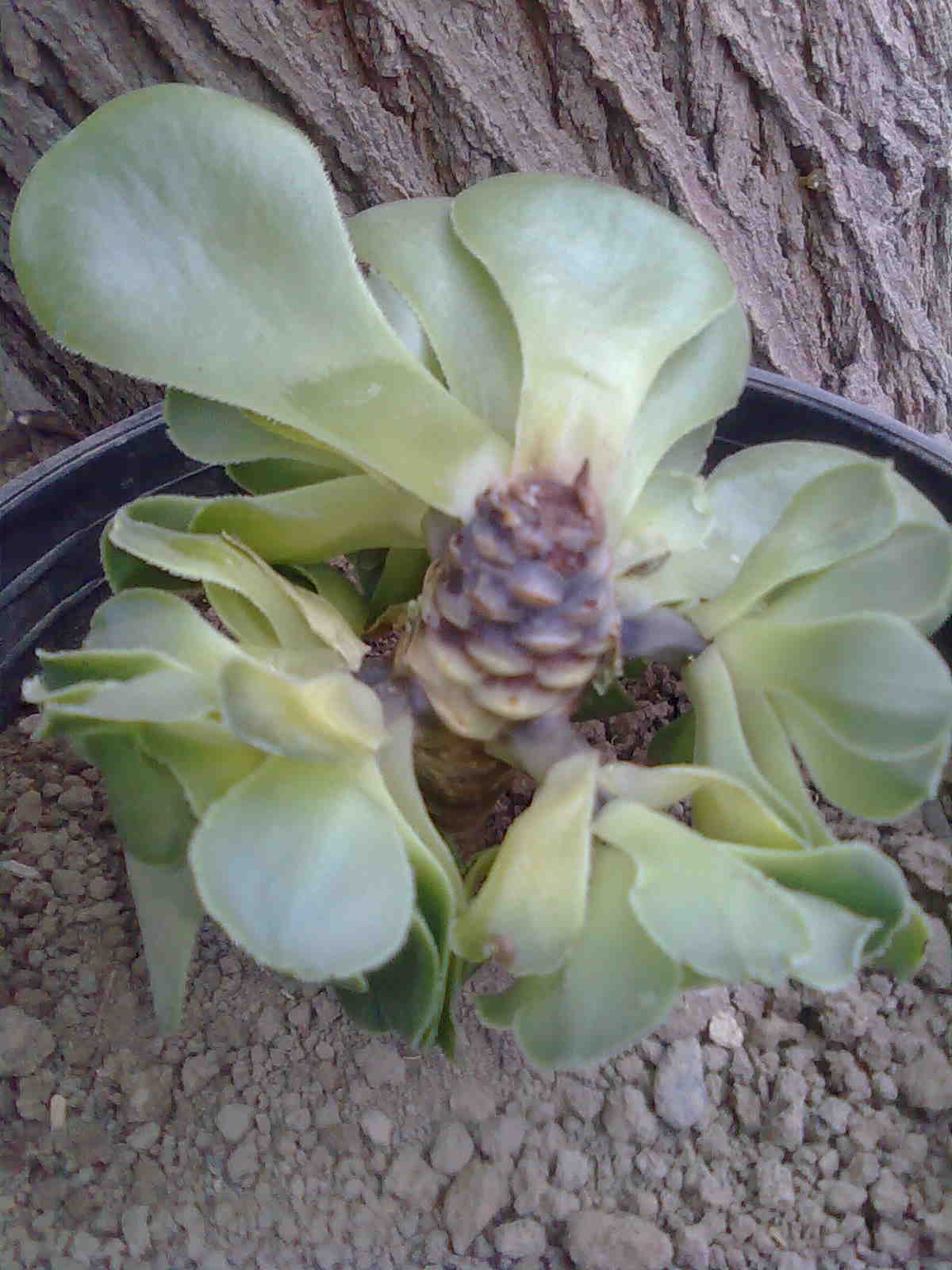 تصویر ارسالی کاربر