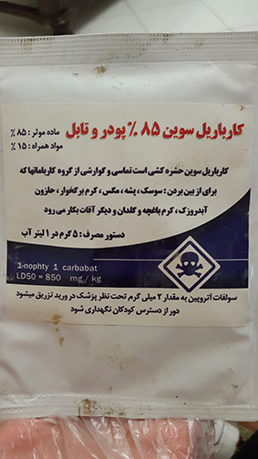 تصویر پرسش و پاسخ گیاه