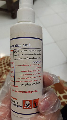تصویر پرسش و پاسخ گیاه