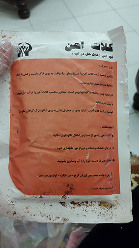 تصویر پرسش و پاسخ گیاه