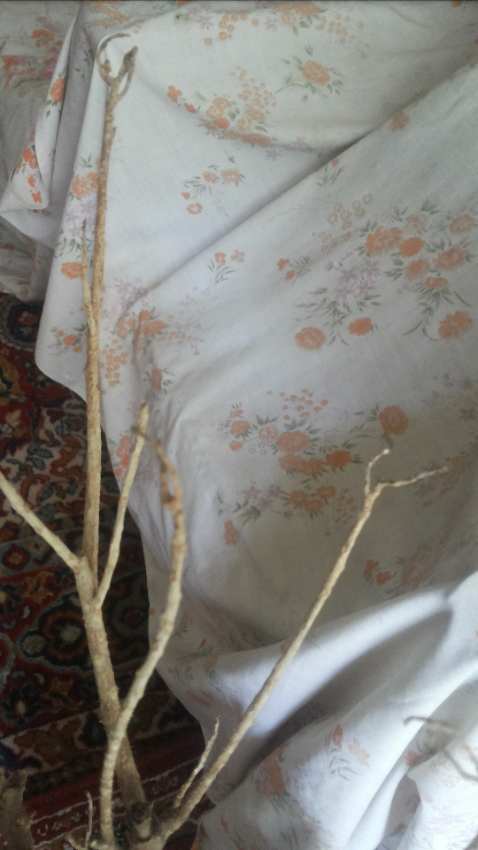 تصویر ارسالی کاربر