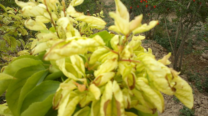 تصویر ارسالی کاربر