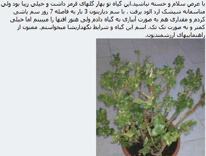 تصویر پرسش و پاسخ گیاه