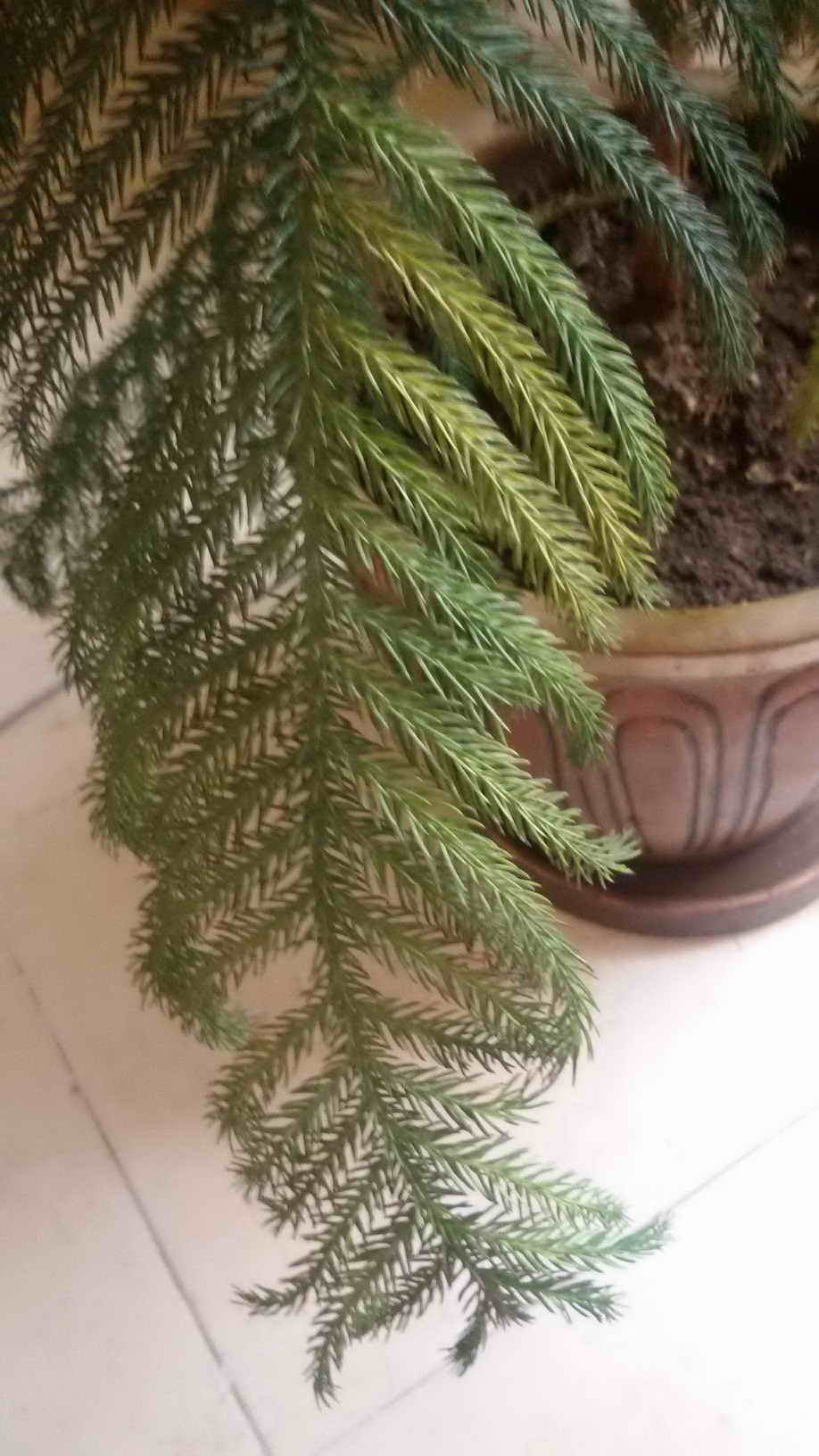 تصویر ارسالی کاربر