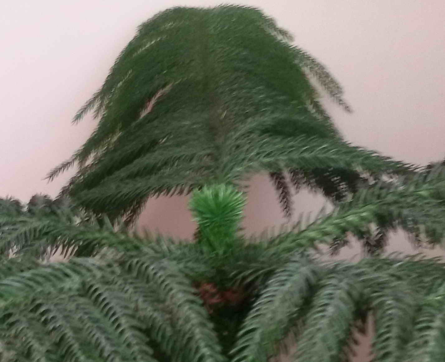 تصویر ارسالی کاربر