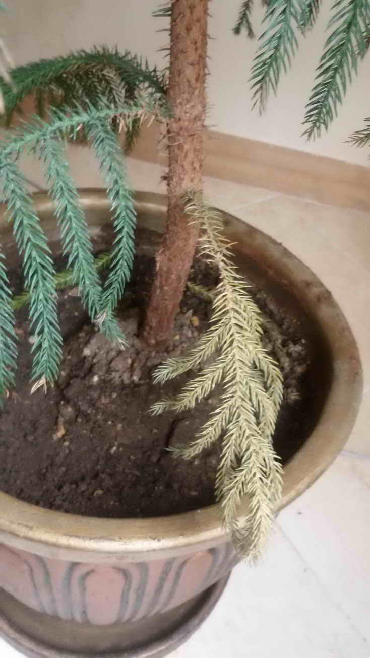 تصویر ارسالی کاربر