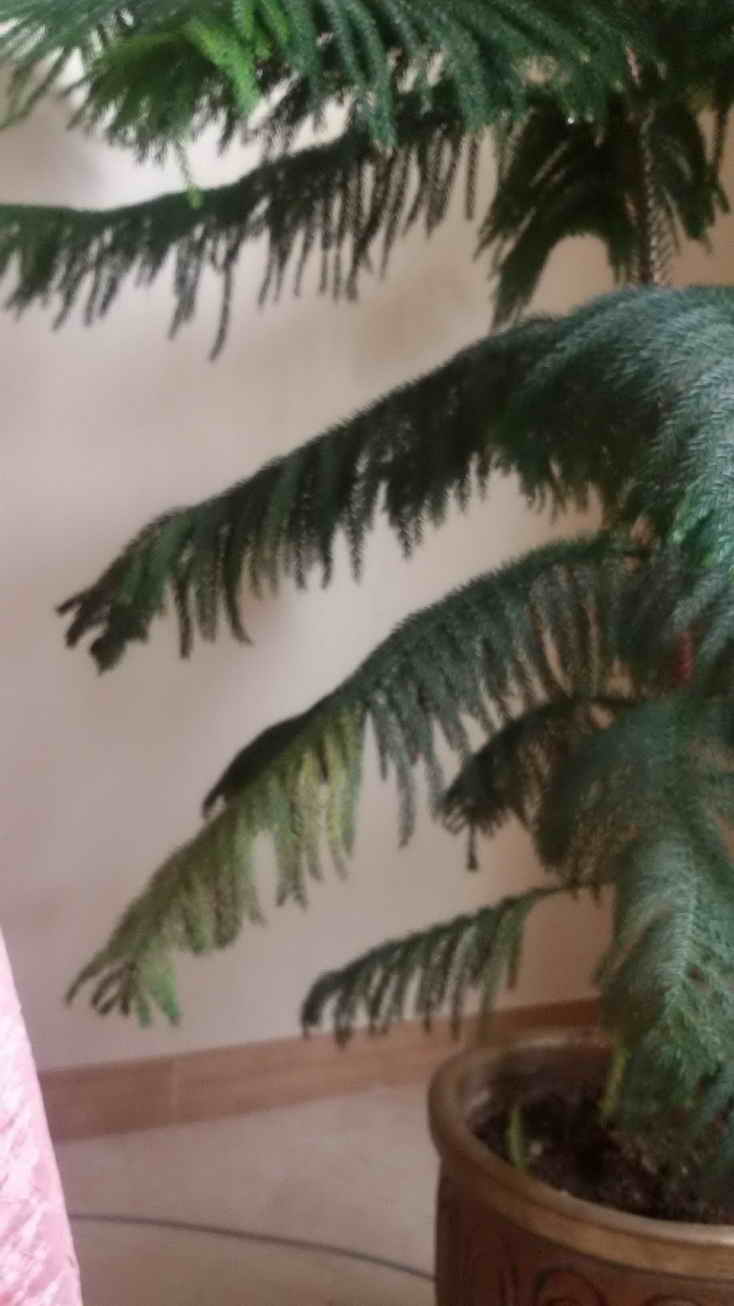 تصویر ارسالی کاربر