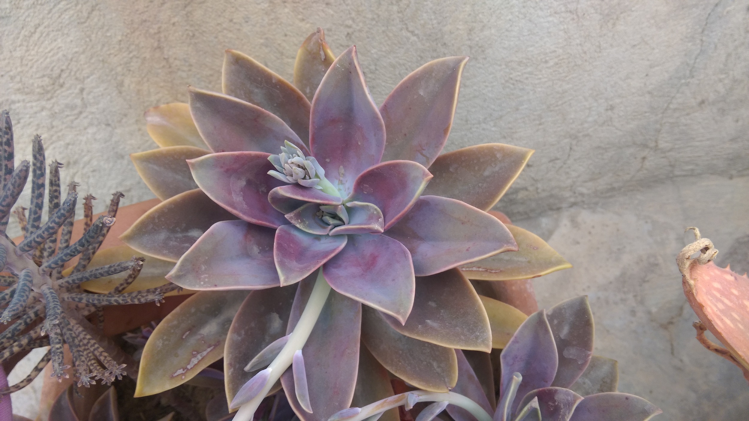 تصویر ارسالی کاربر
