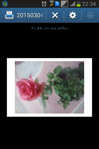 تصویر پرسش و پاسخ گیاه