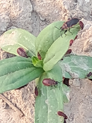 تصویر ارسالی کاربر