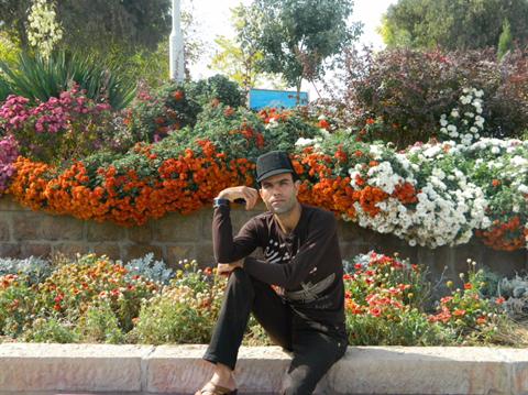 تصویر پرسش و پاسخ گیاه