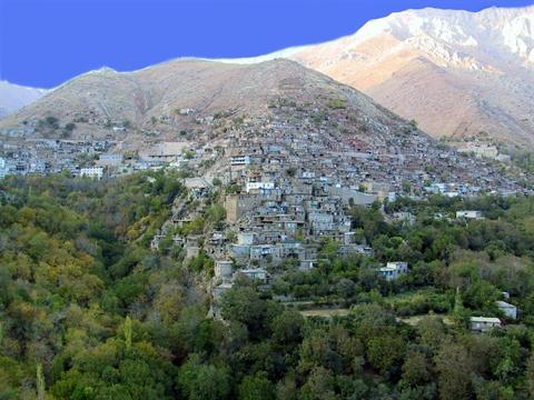 تصویر پرسش و پاسخ گیاه