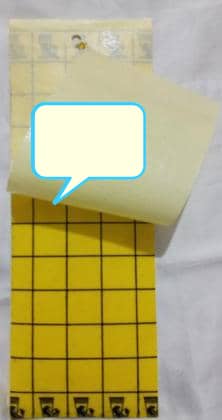 کارت حشره گیر چسب زرد