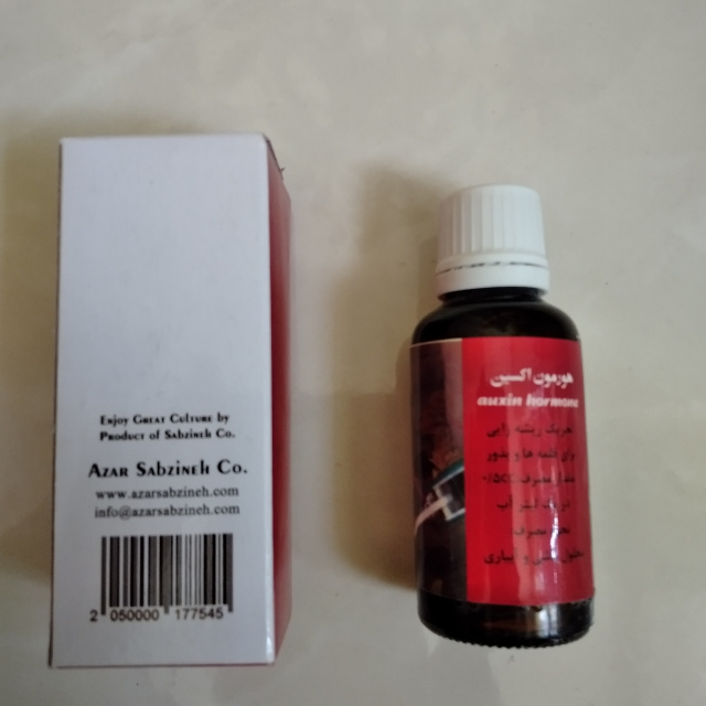 هورمون اکسین