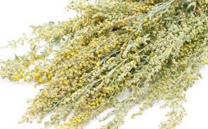 درمنه کوهی (بسته بندی 50 گرمی)