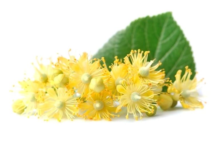 زیرفون (بسته بندی 50 گرمی)