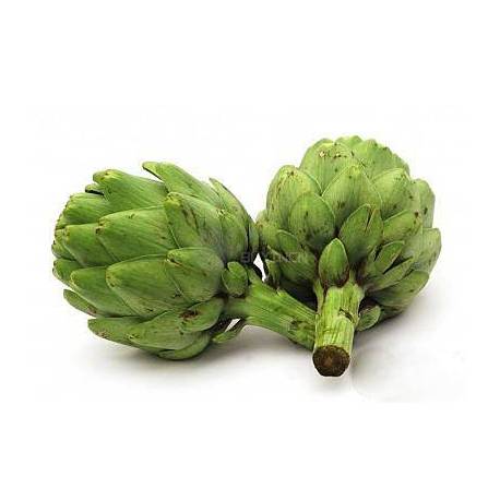 بذر گیاه آرتیشو یا کنگر فرنگی