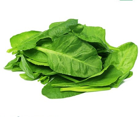 بذر بیبی اسفناج