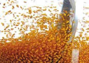 خاکشیر (بسته بندی 200 گرمی)