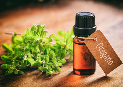 اورگانو درجه یک(۵۰گرم)