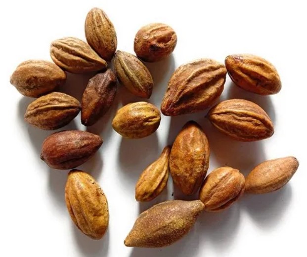 هلیله کابلی ۵۰گرم