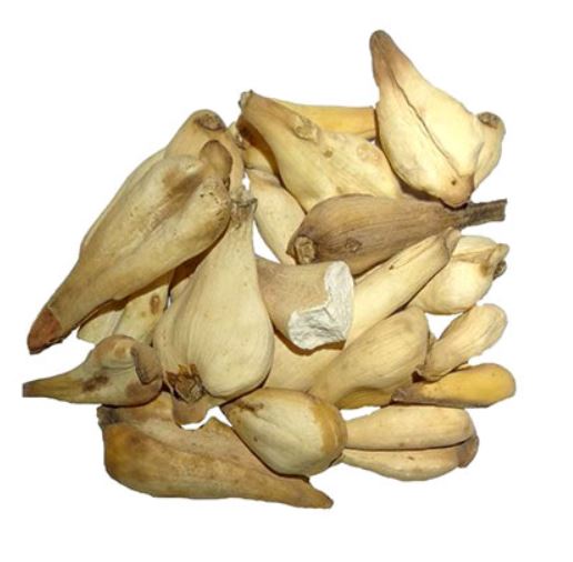 سورنجان (بسته بندی 100 گرمی)