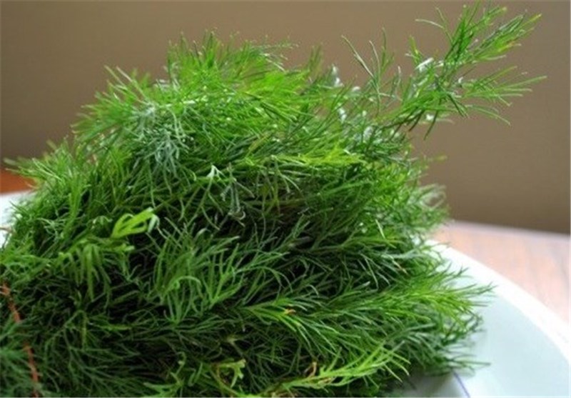 شوید خشک (بسته بندی 150 گرمی)