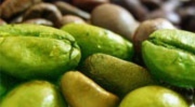 دانه قهوه سبز (بسته بندی 150 گرمی)