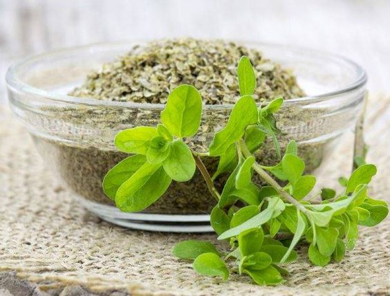 مرزنجوش (بسته بندی 50 گرمی)