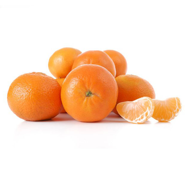 نهال نارنگی فورچون