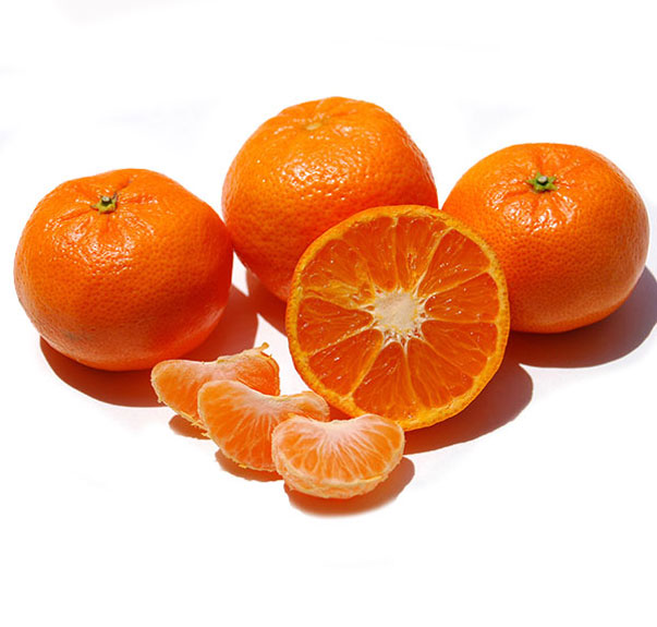 نهال نارنگی لی