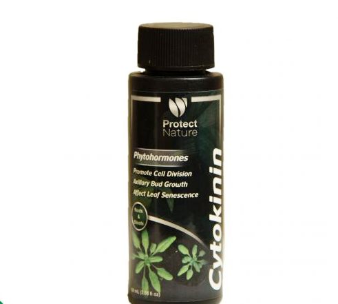 هورمون سایتوکنین