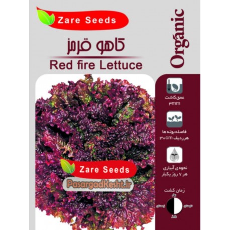 بذرکاهو قرمز(f1)