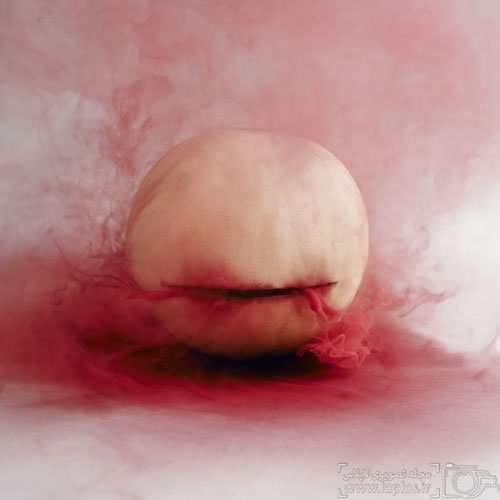 میوه های ترسناک