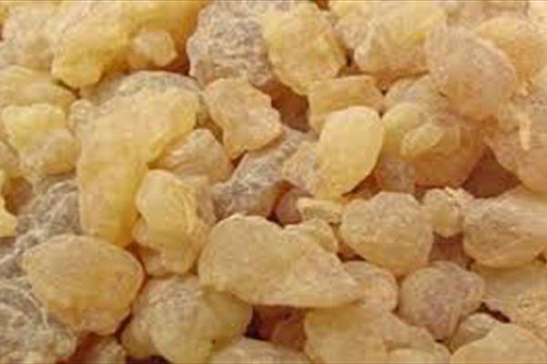 کندر دودی که مغز را گرم می کند