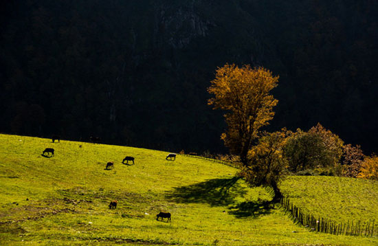پائیز در گردنه حیران