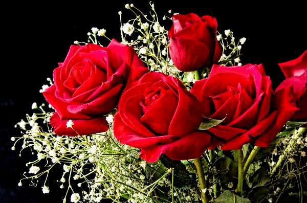 مدار الکترونیکی از گل رز