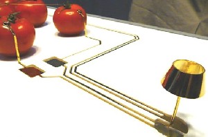 لامپی که با گوجه فرنگی روشن می‌شود +عکس