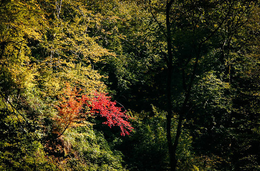 مناظر پاییزی آبشار کبودوال