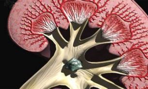 برای درد کلیه این روش های طبیعی درمان کننده هستند