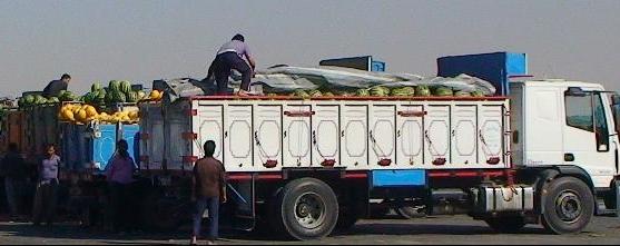 بی برنامگی در صادرات کشاورزی به باغداران خسارت زده است