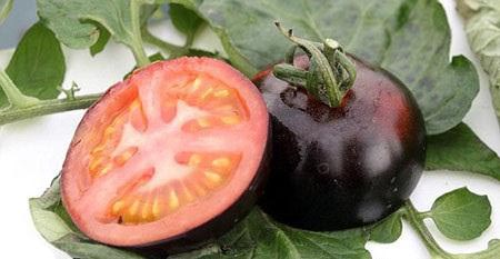 پرورش گوجه فرنگی به رنگ سیا