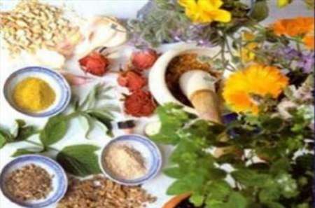 فاصله زیادی با اهداف کلان سند ملی گیاهان دارویی داریم